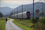 RABe 512 053 und RABe 512 036 bei Altreu.