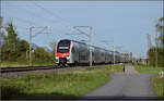 RABe 512 053 und RABe 512 036 bei Altreu.