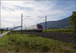 RABDe 500 024 'Ernest von Stockalper' und RABDe 500 025 'Xavier Stockmar' bei Altreu.