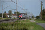 RABe 512 026 'IR Team Dosto' und RABe 512 030 'Serviceanlage Basel' bei Altreu. September 2026. 
