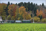 Sonderfahrt mit Be 4/4 102 der Emmentalbahn nach Brugg. 

Ausfahrt aus Lotzwil. November 2025.