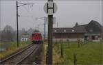 Im Stile des Orientexpress. 

Mit Re 4/4 10039. Häusernmoos, November 2022.