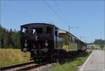 Öffentlicher Fahrtag auf der Emmentalbahn. 

BSB Ed 3/4 51 bei Waltrigen. Juli 2023.