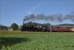 Huttwiler Dampftage. 

Ed 3/4 51 der Bern-Schwarzenburg-Bahn auf dem Weg nach Sumiswald und Wasen. Grüttmoos, Oktober 2023.