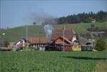 Huttwiler Dampftage. 

Ed 3/4 51 der Bern-Schwarzenburg-Bahn auf dem Weg nach Sumiswald und Wasen. Häusernmoos, Oktober 2023.