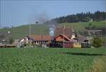 Huttwiler Dampftage. 

Ed 3/4 51 der Bern-Schwarzenburg-Bahn auf dem Weg nach Sumiswald und Wasen. Häusernmoos, Oktober 2023.