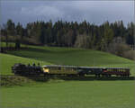 Ostermontag bei der 'Emmentalbahn'.

Eb 3/5 5810 bei Wydithub. April 2024.