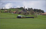 Ostermontag bei der 'Emmentalbahn'.

Eb 3/5 5810 bei Unterbaumen. April 2024.