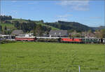 Dampftage Huttwil 2024 mit Diesel, Elektro und Dampfgiganten.

Bm 6/6 18505 der OeBB mit den hauseigenen Salonwagen bei der Gleisanlage der Landi in Huttwil. Oktober 2024.