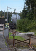 Dampftage Huttwil 2024 mit Diesel, Elektro und Dampfgiganten.

Hier kommt der Regelverkehr auf der Museumsstrecke Emmentalbahn, wie er im Kursbuch steht. Ed 3/4 2 der SMB kommt mit den beiden EBT-Wagen Bi 527 und Bi 538 in Affoltern-Weier um die Ecke. Oktober 2024.