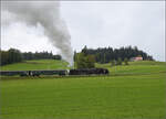 Dampftage Huttwil 2024 mit Diesel, Elektro und Dampfgiganten.

Stargast 241-A-65 muss bei ihrer einzigen Fahrt auf der Museumsbahn den Zug mit den schweren Stahlwagen  die steile Rampe nach Affoltern-Weier rckwrts bewltigen. Mit schweren Auspuffschlgen geht es bei Oberbaumen immer langsamer nach oben, offenbar hat die schwere Dampflok grssere Probleme mit der Steigung als man vermuten wrde, obwohl man beim Vierzylindertriebwerk mit anderes vermuten wrde. Zum Vergleich wren bei einer Zweizylinderlok der Baureihe 01 mit nur 3 Kuppelachsen auf der Schiefen Ebene 5 Silberlinge mit gleichem Gewicht zugelassen gewesen. Mangelnde Dampfentwicklung konnte man auch nicht beobachten. Oktober 2024.