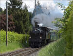 150 Jahre Emmentalbahn. 

Ed 3/4 2 der SMB kommt noch in den Bahnhof Affoltern-Weier gefahren. Mai 2025.