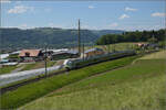 RABe 528 223 auf dem Weg nach Langnau. Tägertschi, Mai 2025.