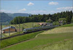 RABe 528 223 auf dem Weg nach Langnau. Tägertschi, Mai 2025.
