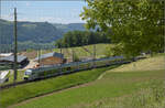 RABe 528 215 auf dem Weg nach Bern. Tägertschi, Mai 2025.