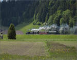 150 Jahre Emmentalbahn. 

E 3/3 853 der Jura-Simplon und Ed 3/3 3 'Langnau' der Emmentalbahn mit ihrem Sonderzug unterwegs auf der Bern-Luzern-Bahn. Schüpbach, Mai 2025.