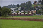 Re 6/6 11659 'Chavornay' zieht einen Kieszug an den Gemeindegrenzen Bittnau, Wikon und Zofingen vorbei.