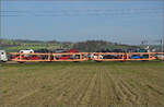 Aargauische Südbahn.

Autotransportwagen 43 83 425 4 166-3 I-SITFA Laekks bei Hendschiken. November 2024.