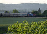 Eem 923 016 'Le Jorat' bei Henschiken, Juni 2025.
