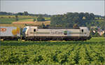 Rem 476 455 der Railcare bei Henschiken, Juni 2025.