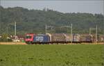 Re 484 003 bei Hendschiken, Juni 2025.