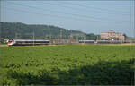 Für Abwechslung bei Hendschiken sorgt ein umgeleiteter Fernverkehrszug mit RABe 501 025 'Geneve' und RABe 501 020 'Luzern'.