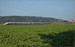 Für Abwechslung bei Hendschiken sorgt ein umgeleiteter Fernverkehrszug mit RABe 501 025 'Geneve' und RABe 501 020 'Luzern'.