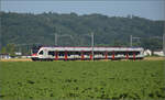 RABe 521 013 'Delémont' bei Hendschiken, Juni 2025.