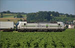 Ren 476 456 der Railcare bei Hendschiken, Juni 2025.