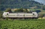Ren 476 456 der Railcare bei Hendschiken, Juni 2025.