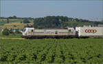 Rem 476 454 der Railcare bei Hendschiken, Juni 2025.