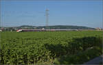 Für Abwechslung bei Hendschiken sorgt ein umgeleiteter Fernverkehrszug mit RABe 501 020 'Luzern' und RABe 501 025 'Geneve'. Juni 2025