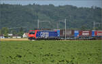 Re 474 016 bei Hendschiken, Juni 2025.