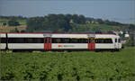 Steuerwagen ABt NPZ DO 50 85 39-43 828-5 CH-SBB der Garnitur von RBDe 560 285 bei Hendschiken, Juni 2025.