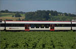Inova-Niederflurzwischenwagen B NPZ DO 50 85 29-43 175-3 CH-SBB der Garnitur von RBDe 560 285 bei Hendschiken, Juni 2025.