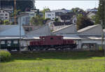 Der Museumszug mit Seetalkrokodil De 6/6 15301 und Seetalwagen fhrt nach Eschenbach (LU) ein.