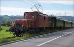 Der Museumszug mit Seetalkrokodil De 6/6 15301, Ae 3/5 10217 und Seetalwagen erklimmt die Rampe aus Hochdorf Richtung Luzern.