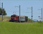 Der Museumszug mit Seetalkrokodil De 6/6 15301 mit BLS A 801 und SBB F 16847 rollt das starke Gefälle nach Hochdorf herunter.