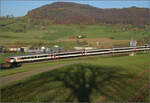 Sonnentag in Frick.

Der EW IV-Wagenpark eines Interregio nach Basel, geschoben von Re 460 098 'Balsberg'. Frick, November 2024.