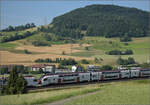 RABe 512 031 und RABe 512 018 bei Frick, Juni 2025.