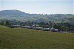RABe 512 031 und RABe 512 018 bei Frick, Juni 2025.
