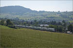RABe 512 031 und RABe 512 018 bei Frick, Juni 2025.