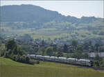 RABe 512 029 und RABe 512 014 bei Frick, Juni 2025.