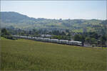 RABe 512 029 und RABe 512 014 bei Frick, Juni 2025.