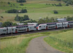 RABe 512 029 und RABe 512 014 bei Frick, Juni 2025.