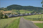 RABe 512 029 und RABe 512 014 bei Frick, Juni 2025.