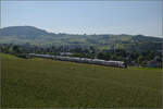 RABe 512 029 und RABe 512 014 bei Frick, Juni 2025.