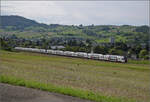 RABe 512 014 und RAbe 512 001 bei Frick. August 2025.