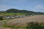 RABe 512 042 und RABe 512 040 bei Frick.