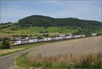 RABe 512 043 bei Frick.